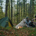 Camping with dog: A Guide to Enjoyable Adventures