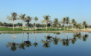 Abu_Dhabi_Golf_Course_6_hole