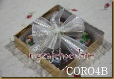 Coklat dan hiasan 9.4.2011 013