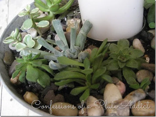 CONFESSIONS OF A PLATE ADDICT Fixer Upper Inspired Farmhouse Centerpiece CONFESSIONS OF A PLATE ADDICT Fixer Upper Inspired Farmhouse Centerpiece