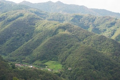 vista de la Cordillera desde la ruta