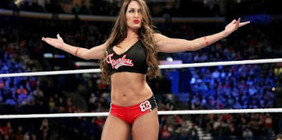 Nikki Bella WWE Fresh HD Wallpaper 