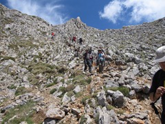 IMG_3842