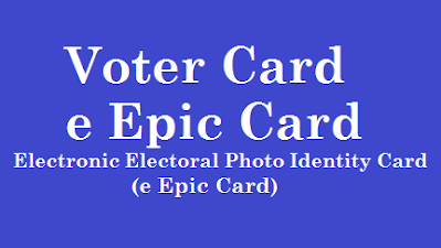 Download Digital Voter Card  https://www.paatashaala.in/2021/09/Download-Digital-Voter-Card-2021-from-e-Epic-Card-Website-voterportal.eci.gov.in.html