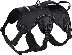 rabbit-goo Escape Proof Dog Harness, Soft Padded Full Body Pet Harness, Reflective Adjustable No Pull Vest with Lift Handle and Leash Clip for Large Dogs Walking Hiking Training, S, Black