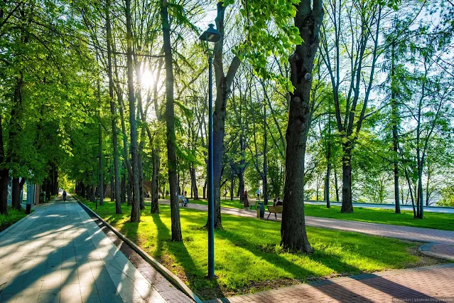 Пешеходные дорожки в парке
