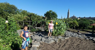 Jardín Botánico de Gijón.