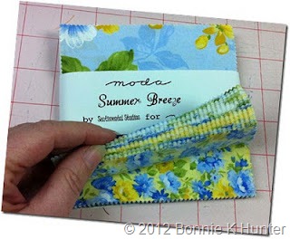 summerbreezecharm1