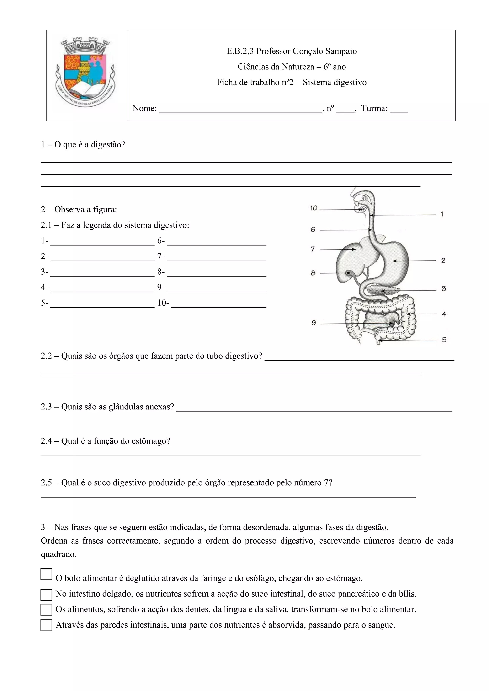 Exercícios sistema digestório 5 ano