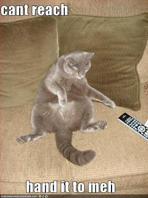 photo of a cat sitting on a couch not able to reach remote