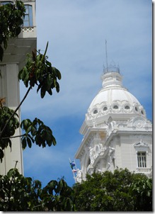 DSCN0823