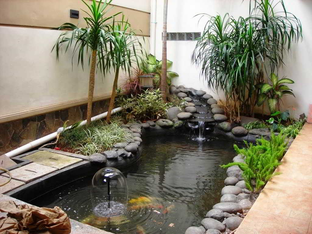 20 Rumah Minimalis Dengan Taman Dan Kolam Ikan Sisi Rumah Minimalis