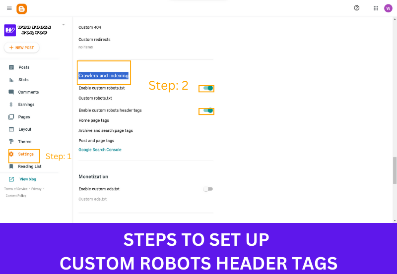 Steps to custom robots header tags setup