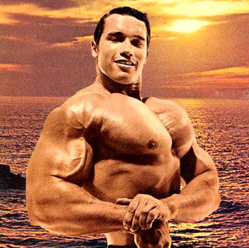 arnold schwarzenegger now body. Arnold Schwarzenegger Rare