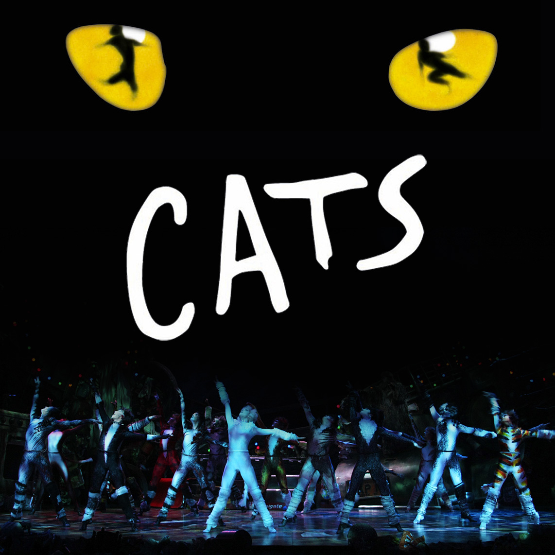 The Theatre  Blog Review CATS  UK Tour March 2013