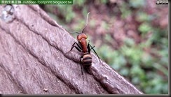 20140912_171740_081_FuYang_Park-fb