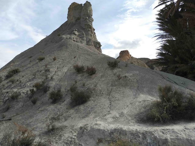 Tabernas desert