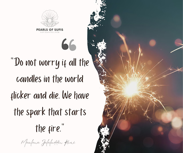 "Do not worry if all the candles in the world flicker and die. We have the spark that starts the fire." - Maulana Rumi