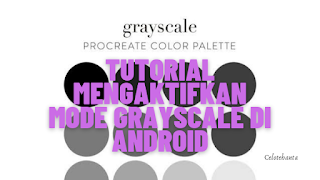 Cara Mengaktifkan Mode Grayscale di Android Dalam 1 Menit