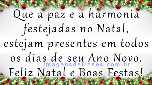 Que a paz e a harmonia festejadas no Natal, estejam presentes em todos os dias de seu Ano Novo