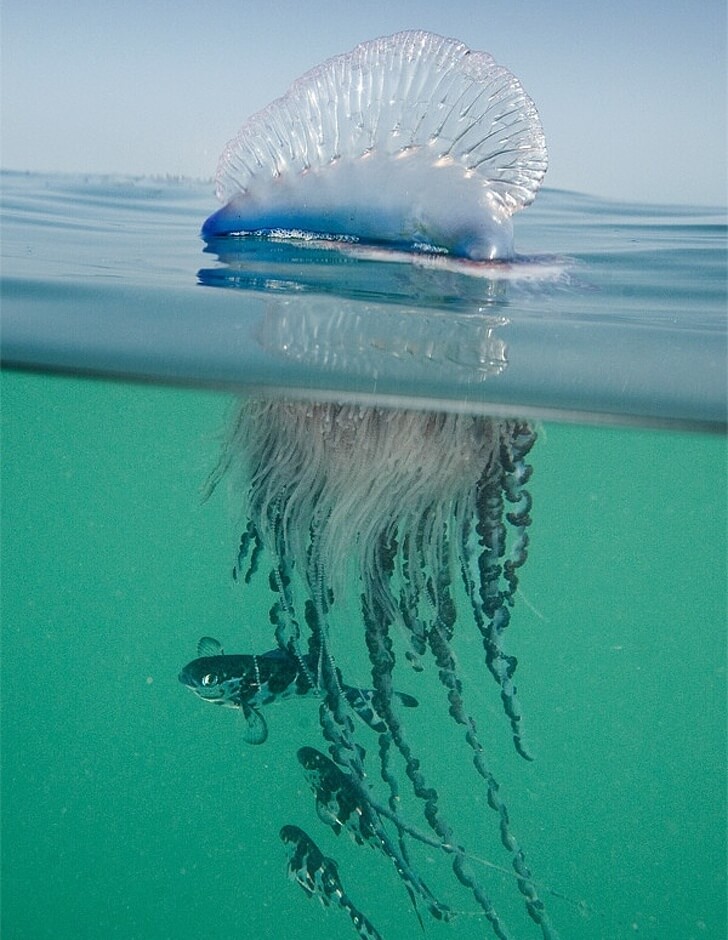 20 Stunning Photos Depict The True Power Of Nature