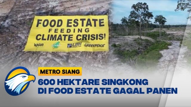 Akui 'Food Estate' di Sejumlah Daerah Gagal, Jokowi: Tak Semudah Yang Dibayangkan!