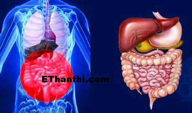 ஜீரணம் நன்கு ஆவதால் ஆரோக்கியம் மேம்படும்