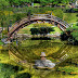 Japanese Garden Design Bridge