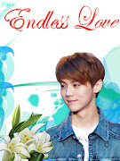 sebuah suara dari arah tangga mengalihkan perhatian kami. Luhan. (endless love )