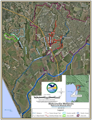 map of louisiana wetlands. .watsonvillewetlandswatch.