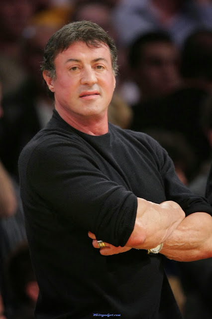 sylvester stallone wallpaper,free hd wallpapers,hd wallpapers for pc,cool wallpapers,free download hd wallpapers,hollywood  celebrities hd wallpaper,hollywood celebrities photos,best wallpapers hd