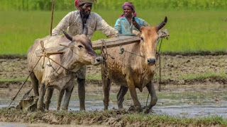 PM Kisan Yojana के लाभार्थियों के लिए बड़ी खबर, सुनकर झूम उठेंगे आप