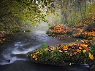 Autumn Landscape, Photograph by Olegas Kurasovas