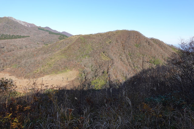 岡山県真庭市蒜山上福田 擬宝珠山登山道 象山