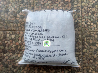 Benih padi yang dibeli   MOH. BAHRON Gresik, Jatim.  (Setelah packing karung).