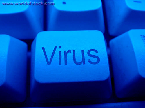 A computer virus 