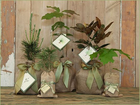 Wedding Favors Online