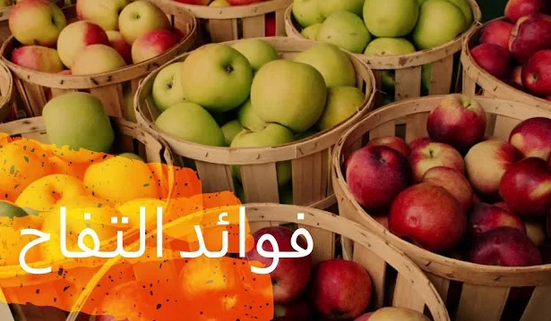 ماهي فوائد التفاح ,التفاح , فوائد التفاح ,فوائد أكل التفاح على الريق ,تناول التفاح مع الطعام ,يقدم التفاح العديد من الفوائد الصحية، ويعتبر واحداً من أكثر الأطعمة الصحية التي يمكن تضمينها في النظام الغذائي اليومي، ومن هذه الفوائد,فوائد التفاح,التفاح,فوائد,فوائد التفاح الاخضر,فوائد التفاح الاحمر,فوائد التفاح الاصفر,فوائد خل التفاح,التفاح الاخضر,تفاح,فوائد التفاح للحامل,فوائد التفاح للبشرة,ماهي فوائد التفاح,عصير التفاح,خل التفاح,ما هي فوائد التفاح الصحية,فائدة التفاح,التفاح,تفاح,خل التفاح,فوائد خل التفاح,عصير التفاح,تحديات,تحدي التفاح,كيكة التفاح,العاب,الجزائر,خل التفاح للبشرة,المطبخ,المغرب,الجزيرة,فوائد التفاح الاخضر,السعودية,طريقة عمل عصير التفاح,التفاحة,أكل التفاح,عصير,كيك التفاح,قصة التفاح,شجرة التفاح,فوائد التفاح,التفاح,فوائد,فوائد التفاح الاخضر,فوائد التفاح الاحمر,فوائد التفاح للبشرة,فوائد خل التفاح,فائدة التفاح,تفاح,فوائد التفاح للحامل,عصير التفاح,خل التفاح,ماهي فوائد التفاح,فوائد التفاح الاصفر,التفاح الاخضر,خل التفاح للتخسيس,شجرة التفاح,فوائد التفاح الاخضر,التفاح,فوائد التفاح,التفاح على الريق,فوائد,خل التفاح,التفاح للوجه,فوائد خل التفاح,التفاح الاحمر,فوائد أكل التفاح على الريق,بذور التفاح,التفاح للرجيم,التفاح قبل النوم,أكل التفاح,التفاح للشعر,التفاح للجسم,التفاح للبشرة,التفاح الاحمر,السعودية,قناة,تفاح,التفاح,تحدي,سي بي سي سفرة,خل التفاح والرجيم,العربية,الجزيرة,أضرار تناول التفاح ليلاً,الصحة,الحاج,شرب خل التفاح قبل الاكل,وثائقي,برنامج,تحديات,فوائد التفاح الاحمر,التفاح للجسم,التفاح للشعر,التفاح للرجيم,التفاح الاصفر,Apples, the benefits of apples, the benefits of eating apples on an empty stomach, eating apples with food, apples offer many health benefits, and is considered one of the most healthy foods that can be included in the daily diet, and from these benefits, the benefits of apples, apples, benefits, benefits of apples Green, the benefits of red apples, the benefits of yellow apples, the benefits of apple cider vinegar, green apples, apples, the benefits of apples for a pregnant woman, the benefits of apples for the skin, what are the benefits of apples, apple juice, apple cider vinegar, what are the health benefits of apples, the benefit of apples, apples, apples, Apple cider vinegar, apple cider vinegar benefits, apple juice, challenges, apple challenge, apple cake, games, Algeria, vinegar Apples for skin, kitchen, Morocco, Al-Jazeera, benefits of green apples, Saudi Arabia, how to make apple juice, apple, eat apples, juice, apple cake, apple story, apple tree, benefits of apples, apples, benefits, benefits of green apples, benefits of red apples Benefits of apples for the skin, benefits of apple cider vinegar, benefit of apples, apples, benefits of apples for pregnant women, applesauce, apple cider vinegar, what are the benefits of apples, benefits of yellow apples, green apples, apple cider vinegar for slimming, apple tree, benefits of green apples, apples, benefits of apples , Apples on an empty stomach, benefits of apple cider vinegar for the face, the benefits of apple cider vinegar, red apple, the benefits of eating apples on an empty stomach, apple seeds , Apples for diet, apples before bed, eating apples, apples for hair, apples for body, apples for skin, red apples, saudi arabia, channel, apples, apples, challenge, cbc trip, apple cider vinegar, diet, arabic, aljazeera, harms of eating apples at night Health, pilgrim, drink apple cider vinegar before eating, documentary, program, challenges, benefits of red apple, apple for body, apple for hair, apple for diet, yellow apple,