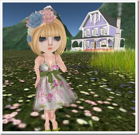 Snapshot_001
