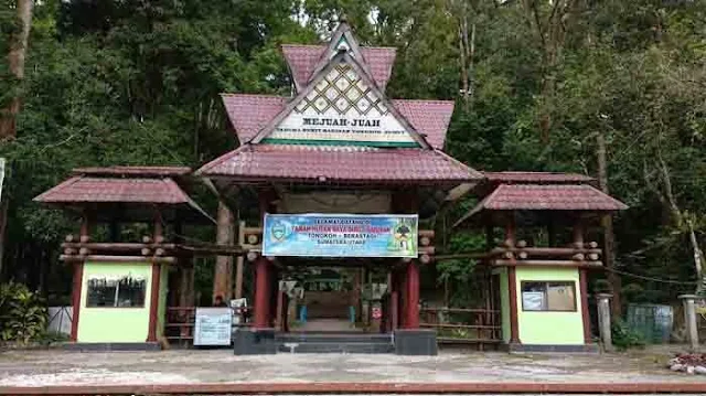 Taman Hutan Raya Bukit Barisan