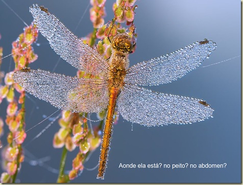Agua 06