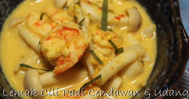 Curlybabe's Satisfaction: Lemak Cili Padi Cendawan & Udang