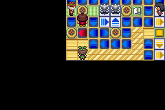 pokemon emerald kaizo screenshot 3