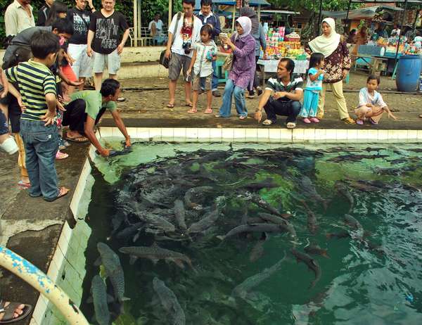 Pemandian Cibulan, Cirebon