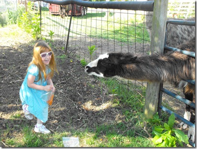 llama2