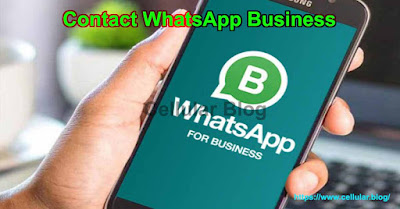Contact WhatsApp Business