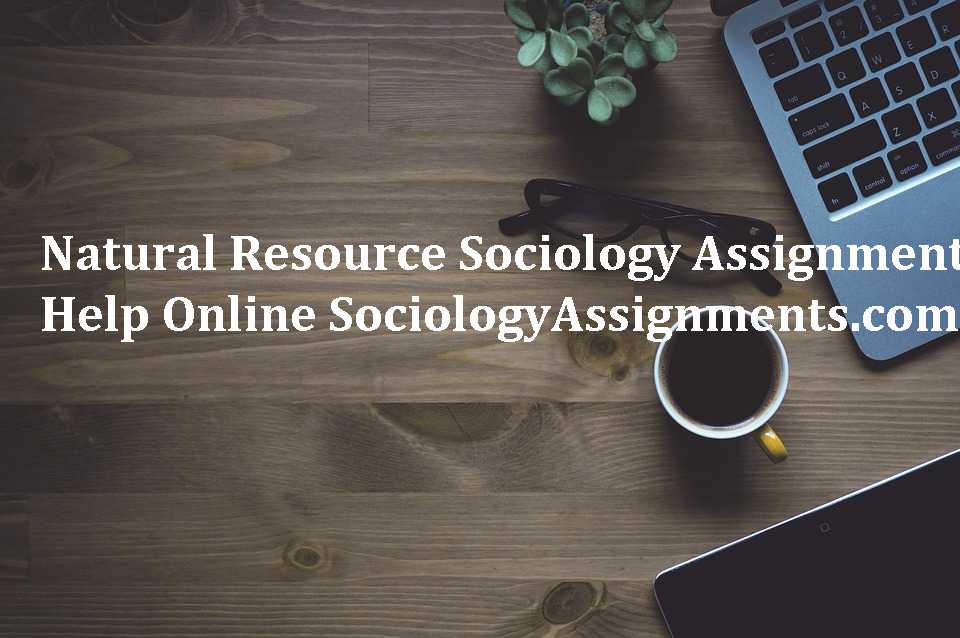 Sociology Assignment Help Online