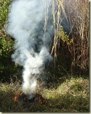 bonfire_1_1