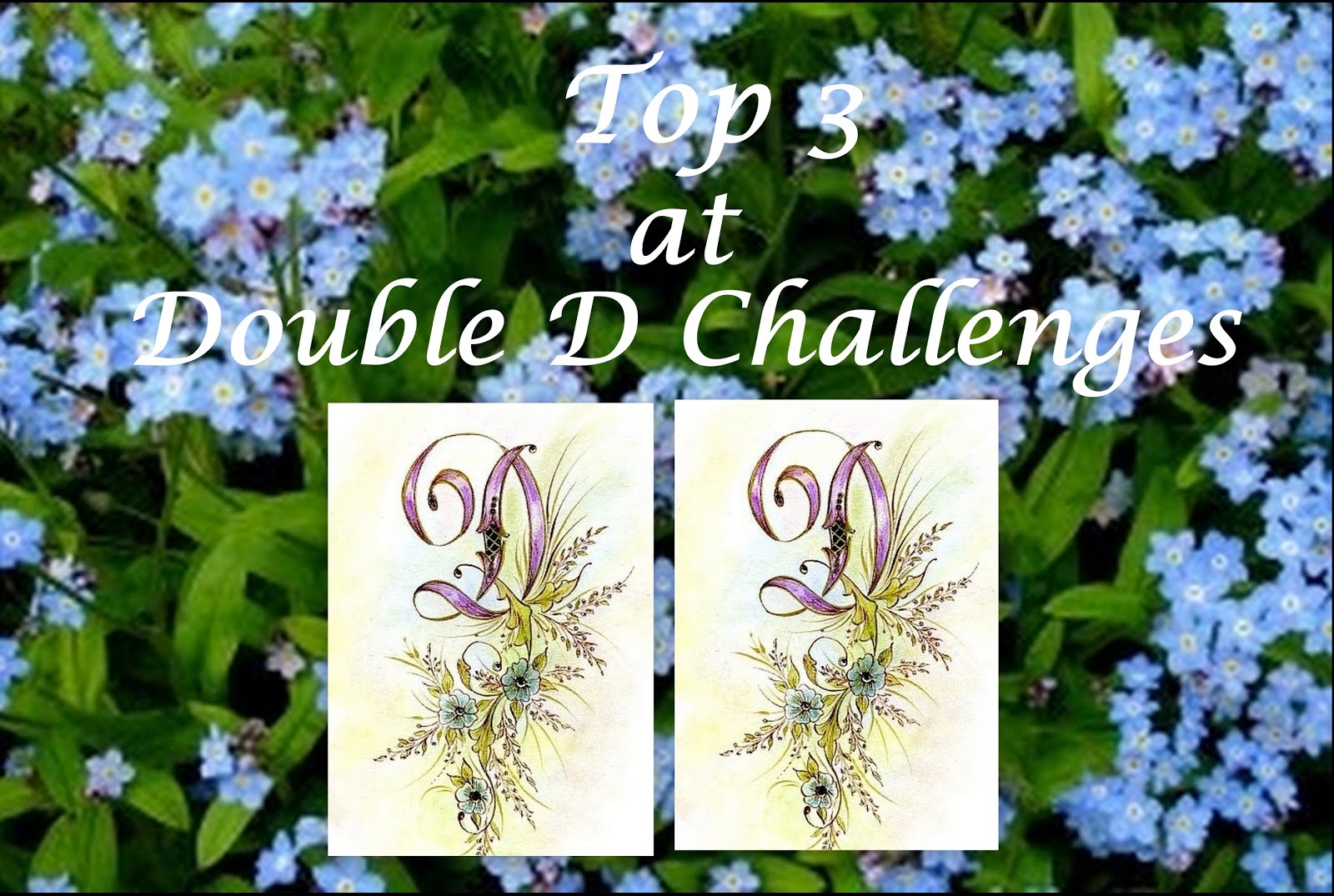 Výzva Double D Challenges