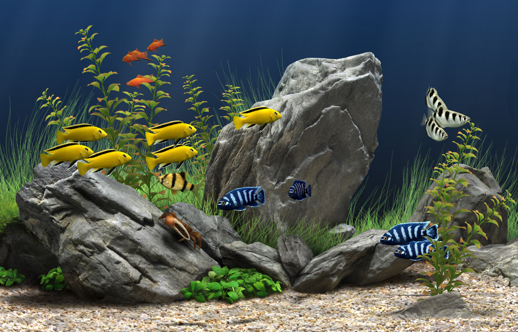 Free Fish Aquarium Screensaver Free Fish Aquarium Screensaver